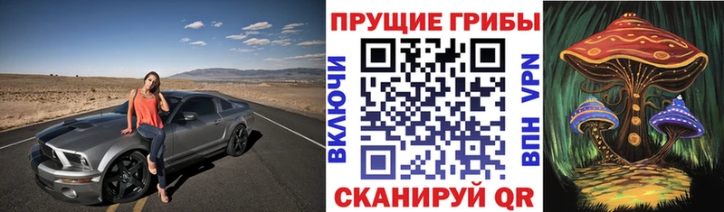 Псилоцибиновые грибы Psilocybe Обоянь